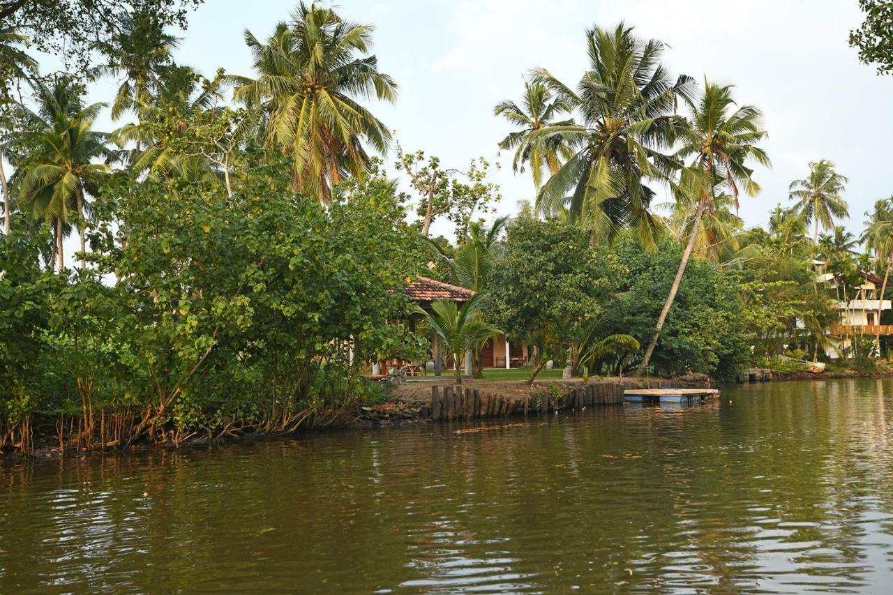 Hettimulla River House Bentota Extérieur photo